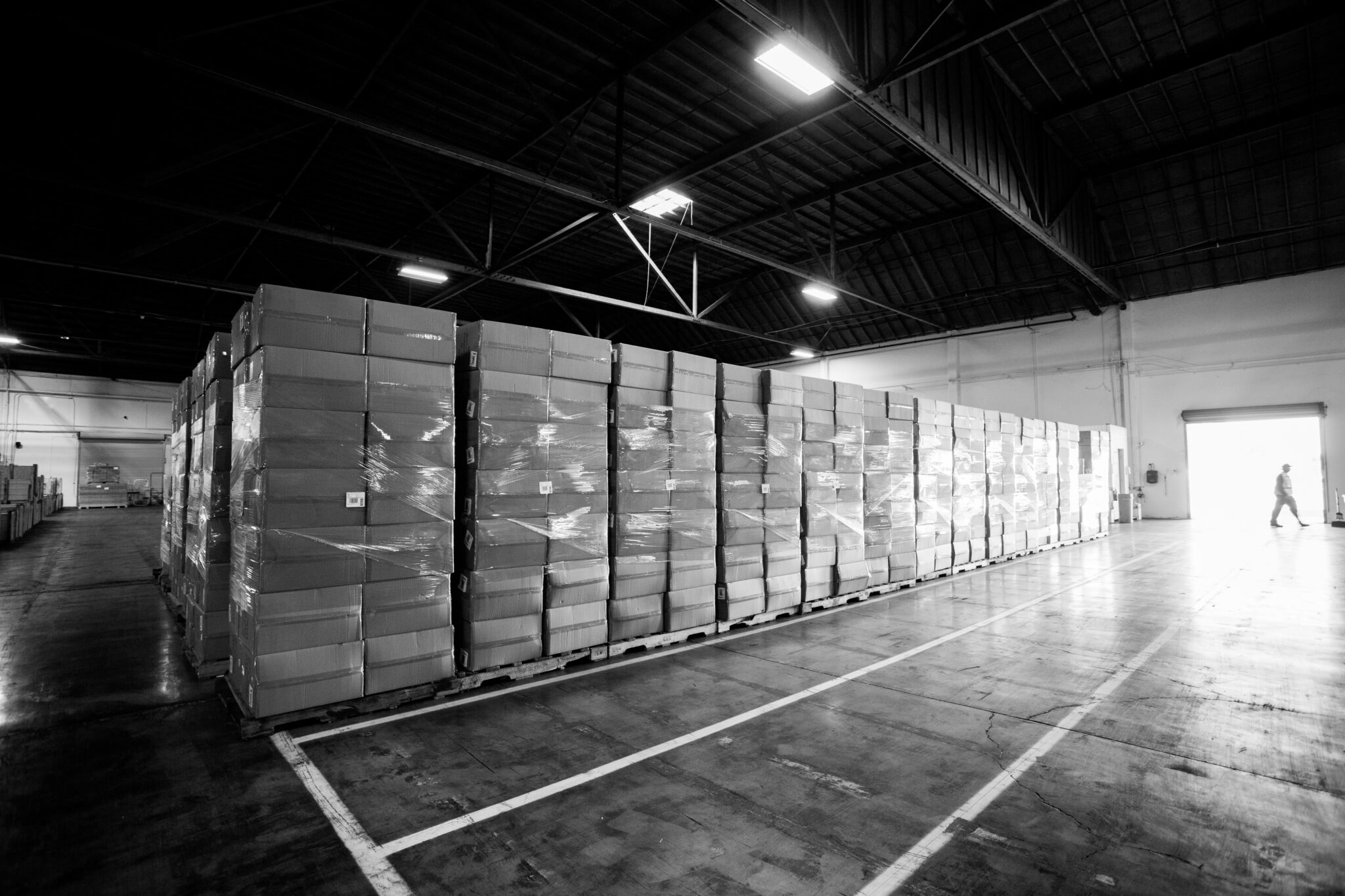 Obstacles Pet Food Storage FDR Warehouse