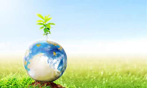 3 Ways Warehousing is Helping Your Business & the Earth